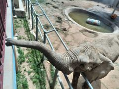 -西霞口神雕山野生动物世界