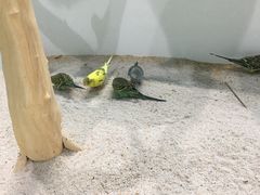 -台州海洋世界