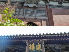 -善化寺