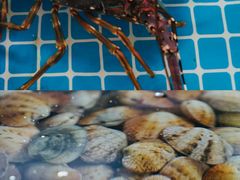 -三亚火车头万人海鲜广场