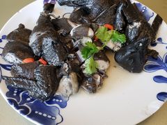 药膳鸡-沙龙酒家