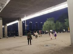 -长白岛森林公园