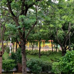 -广州市儿童公园