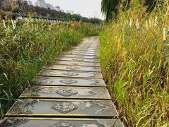 -西安汉城湖景区