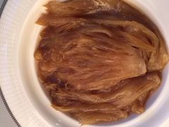 马哥孛罗香港酒店-马哥孛罗香港酒店