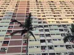 -彩虹村