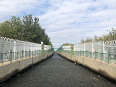 -克拉玛依河景区-九龙潭
