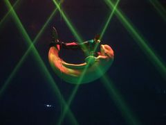 -芜湖新华联大白鲸海洋公园