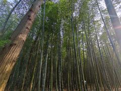 -同里国家湿地公园