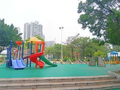 -飞来湖湿地公园