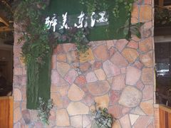 -醉美东江·三文鱼·烧鸡公