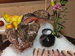 -揽季锅物会.福建黄鱼.海鲜姿造(五四路店)