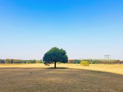 -无锡新湖铂尔曼大酒店