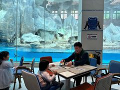 -帝企鹅自助餐厅•儿童岛•真企鹅(长隆企鹅酒店)