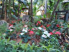 -厦门日月谷温泉渡假村