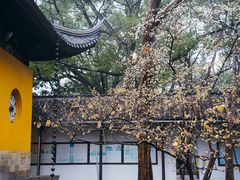 -西园戒幢律寺