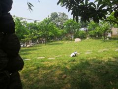 -长安上水缘度假庄园