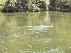 -赋石水库船头鱼红房子饭店