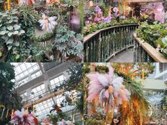 -正佳雨林生态植物园