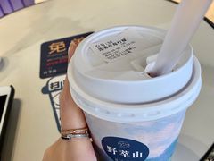 -野萃山·潮汕厚果汁(十亩地店)
