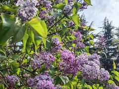 -王军炸串(振八街店)