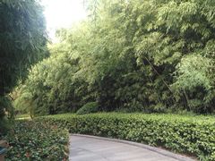 -西安汉城湖景区