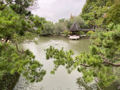 -上海醉白池公园
