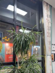-爱儿美儿童摄影亲子馆(五路居店)