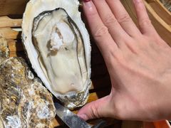 -杨氏青龙虾·羊蝎子(珠江路店)