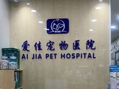 -爱佳宠物中心医院24H·CT·骨外科·猫专科(瑶海万达店)