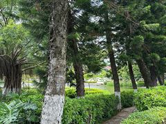 -厦门大学(思明校区)