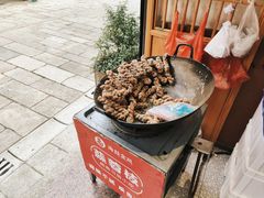 蒜蓉枝-海丝金凤(金鱼店)
