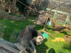 -西安秦岭野生动物园