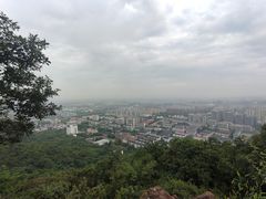 -杭州半山国家森林公园