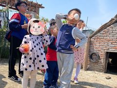 -樂桃源奉贤黄桃种植采摘基地