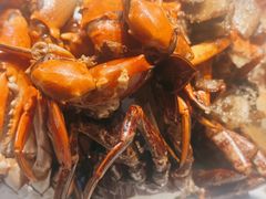-莲花公园煎蟹(总店)