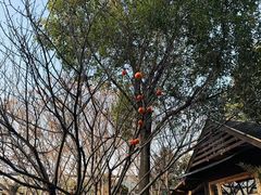 -金稼园·金平湖农家菜