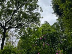 -深圳国际园林花卉博览园