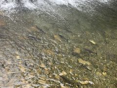 -丽江玉水寨
