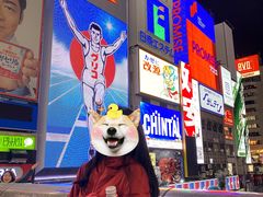 -蟹道乐(道顿堀本店)