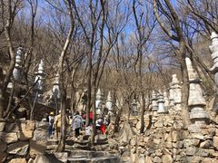 -天津盘山风景名胜区