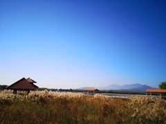 -青龙湖公园