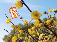 -无锡梅园公园