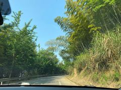 -达蓬山旅游度假区