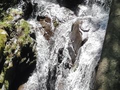 -藏龙百瀑风景区