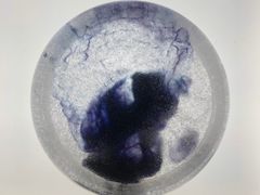 -见山茶事(丽水路店)