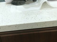 -宠爱国际动物医院·疑难骨科·心肾内科·皮肤科(太阳宫店)