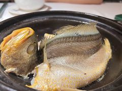 -菉雅苑·湛江菜(前海卓越INTOWN店)