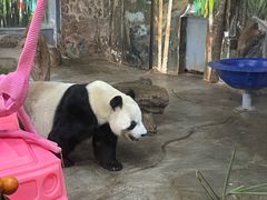 -海南热带野生动植物园