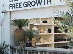 -自由生长植物工作室(深港花卉中心店)